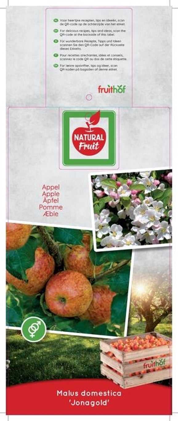 Malus d. 'Jonagold' - C7,5 175-225 CM Halfstem